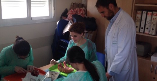Curso de implantes dentales dirigido por el Dr Javier Herce