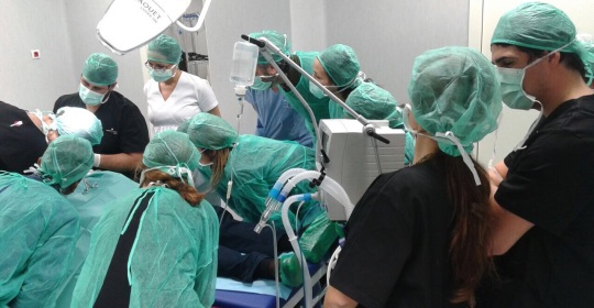 Celebrado el I Curso de técnica «All on four» impartido por el Dr. J. Herce