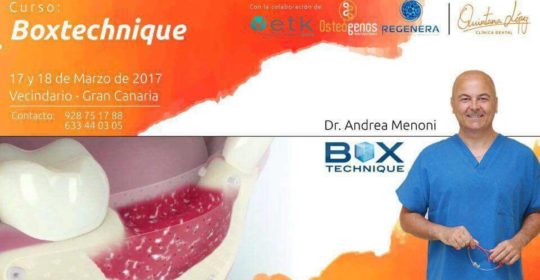 Curso sobre Boxtechnique en Las Palmas